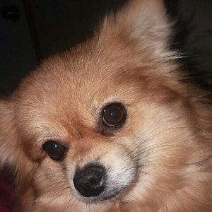 Meet your Posher, Leeann